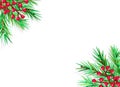 FIR BRANCH AND HOLLY BERRY DECORATION FRAME. CHRISTMAS GREETING CARD BANNER