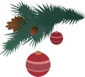Fir branch with pine cones and balls