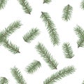 Fir branch seamless pattern. Winter holiday decor element. Vectro illustration Royalty Free Stock Photo