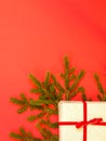 Fir branch / twig and christmas gift box on red background.