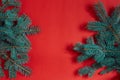 Fir branches border on red background, good for christmas backdrop Royalty Free Stock Photo
