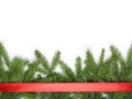 Fir branches border on white background with red Royalty Free Stock Photo