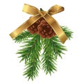 Fir branches and brown pine cones with golden ribbon bow isolated on white background. Christmas and New year decoration. Vector