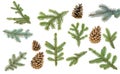 Fir branches and cones isolated on white background. Set of fir branches Royalty Free Stock Photo