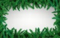 Fir branches frame, spruce branch, christmas poster and banner template. Holiday card, forest winter trees, green gift