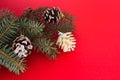 Fir branches and pine cones against red background with place for text. Christmas and New Year. Blank for congratulations. Royalty Free Stock Photo
