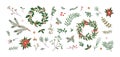 Fir branches, wreaths, leaf, Christmas decoration. Xmas floral design elements set. Tree twigs, leaves, berries, flowers