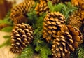 Fir Christmas brown cone natural brown close-up part of a traditional Christmas and New Year decoration