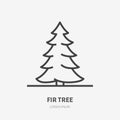Fir Christmas tree flat line icon. Vector thin sign of evergreen plant, ecology logo. Nature illustration, forest symbol Royalty Free Stock Photo