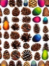 fir cone background knolling drawing neon colors.