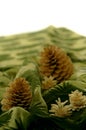 Fir cones on green drapery