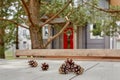 Fir cones lie on the table on the background of the house