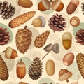 Fir cones pattern. Forest acorns collections recent vector seamless background in cartoon style