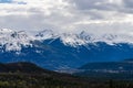 Fir forest, grassland, snow capped mountains. Canadian Rockies, Jasper National Park, Canada. Royalty Free Stock Photo