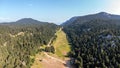 Fir forest landscape Mountain aerial drone view. Fire protection zone, no trees area