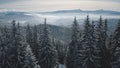 Fir forest in mist hoarfrost aerial. Snow mountain ridge. Winter nobody nature landscape. Pine trees Royalty Free Stock Photo
