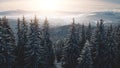 Fir forest in mist hoarfrost aerial. Snow mountain ridge. Winter nobody nature landscape. Pine trees Royalty Free Stock Photo