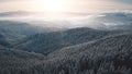 Fir forest in mist hoarfrost aerial. Snow mountain ridge. Winter nobody nature landscape. Pine trees Royalty Free Stock Photo