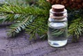 Fir needle essential oil in a glass bottle and green coniferous tree branches with cones.Spruce aroma oil for spa. Royalty Free Stock Photo