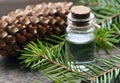 Fir needle essential oil in a glass bottle and green coniferous tree branches with cones.Spruce aroma oil for spa,aromatherapy. Royalty Free Stock Photo