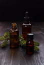 Fir pine or spruce essential oil