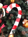 Fir, symbol of christmas, fragment. New Year decoration. Festive photo modern