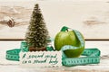 Fir-tree, apple and proverb. Royalty Free Stock Photo