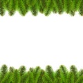 Fir Tree Border Royalty Free Stock Photo