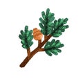 Fir tree branch with cone. Green spruce twig. Christmas winter design element. Coniferous pine plant stalk with pinecone