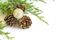 Fir tree branch with golden pine cones and Christmas ornament in Royalty Free Stock Photo