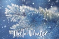 Fir tree branch in hoarfrost in blueness tones. Hello winter card Royalty Free Stock Photo