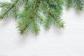 X-mas fir tree branch isolated on white wooden background. Pine branch. Christmas background Royalty Free Stock Photo