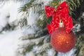 Fir-tree branch in New Year's evening with a toy