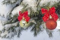 Fir-tree branch in New Year's evening with a toy