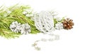 Fir tree branch, silver cones and star garland on white