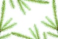 Fir tree branches, christmas decoration. Royalty Free Stock Photo