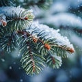 Fir tree branches covered with snow and ice. Winter background Royalty Free Stock Photo