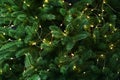 Fir tree branches with glowing yellow Christmas light