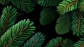 Fir tree branches on a green background create a festive New Year pattern ideal for digital and print media applications Royalty Free Stock Photo