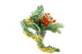 Fir-tree branches in a vase Royalty Free Stock Photo