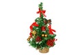 Fir-tree for Christmas holidays Royalty Free Stock Photo