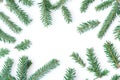 Fir tree collection including a single pine branch is shown on a white isolate Royalty Free Stock Photo