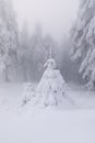 Fir tree covered with snow in foggy, dreamy winter scene