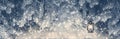 Fir tree covered snow and rime, lantern closeup. Christmas panoramic background with sparkles. Holiday spruce branches panorama,