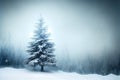 A fir tree covered with snow wintertime background with copy space