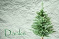 Fir Tree, Creasy Paper Background, Danke Means Thank You