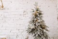 Fir tree decorated with Xmas balls on white brick wall . Close-up view of beautiful Christmas tree with white artificial Royalty Free Stock Photo