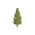 fir tree flat vector illustration Royalty Free Stock Photo