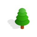 Fir tree icon, isometric 3d style Royalty Free Stock Photo