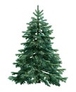 Fir-tree isolated on white Royalty Free Stock Photo